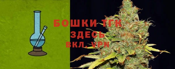шишки Коряжма