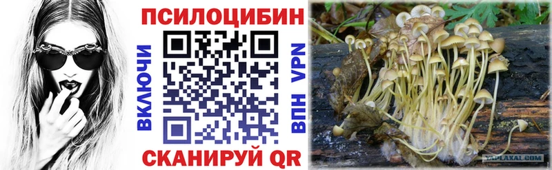 что такое   MEGA ССЫЛКА  Галлюциногенные грибы ЛСД  Красный Сулин 