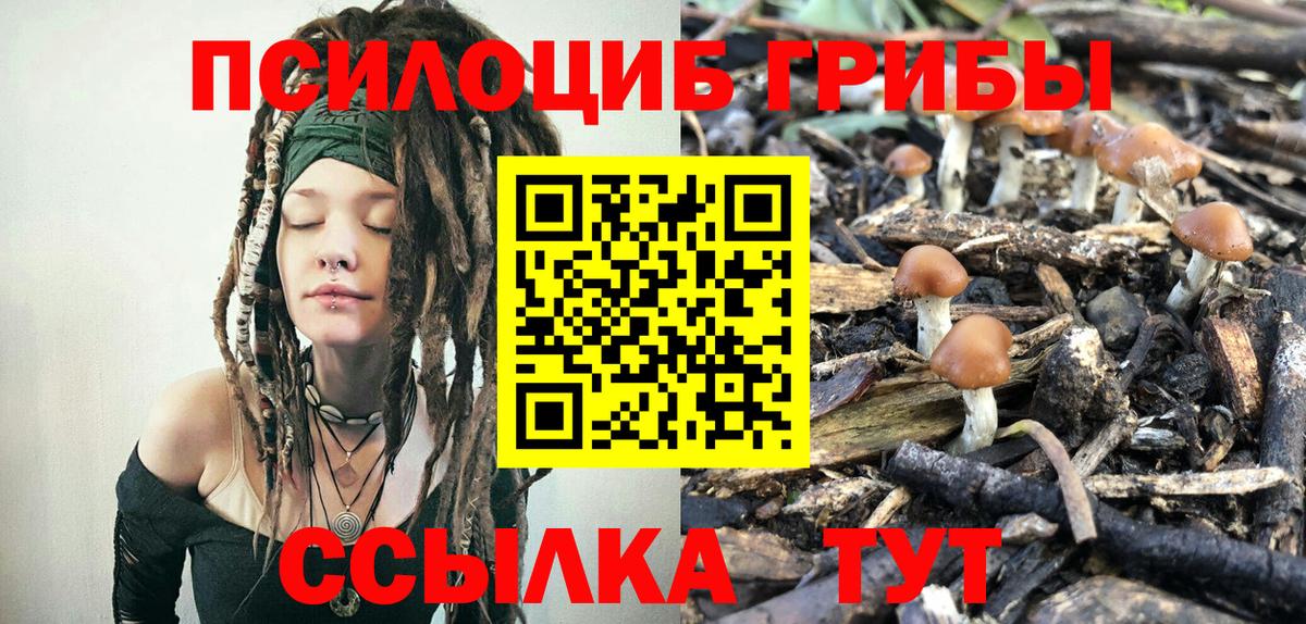 Галлюциногенные грибы Psilocybe  дарнет шоп  Вход с VPN  Красный Сулин  Псилоцибиновые грибы ЛСД 
