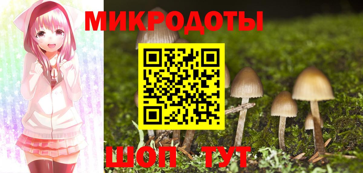 Галлюциногенные грибы прущие грибы Красный Сулин